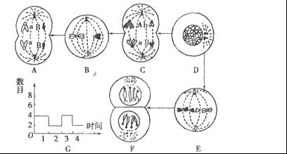 AI+医疗前景可期更需厘清边界